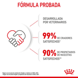 FHN MOTHERANDBABYCAT - FORMULA PROBADA